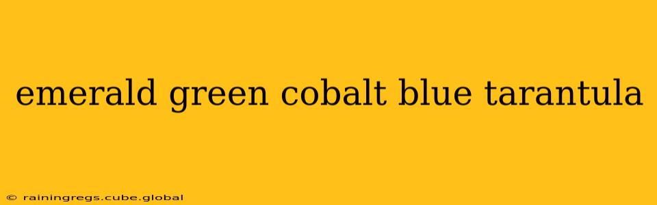 emerald green cobalt blue tarantula