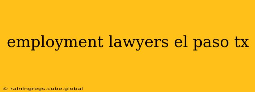 employment lawyers el paso tx