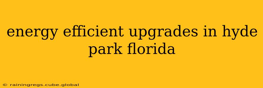 energy efficient upgrades in hyde park florida
