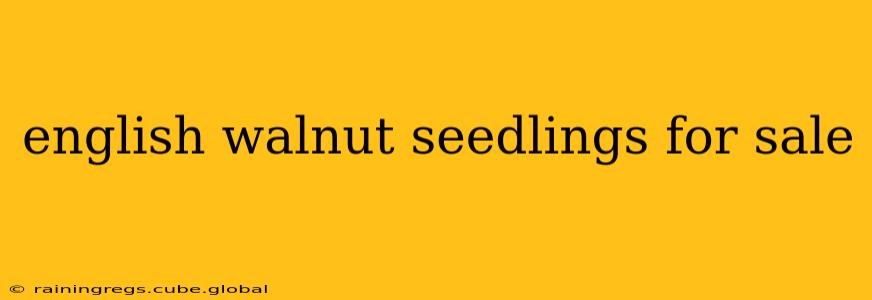 english walnut seedlings for sale