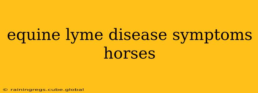 equine lyme disease symptoms horses