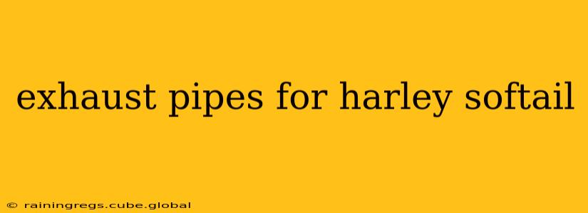 exhaust pipes for harley softail