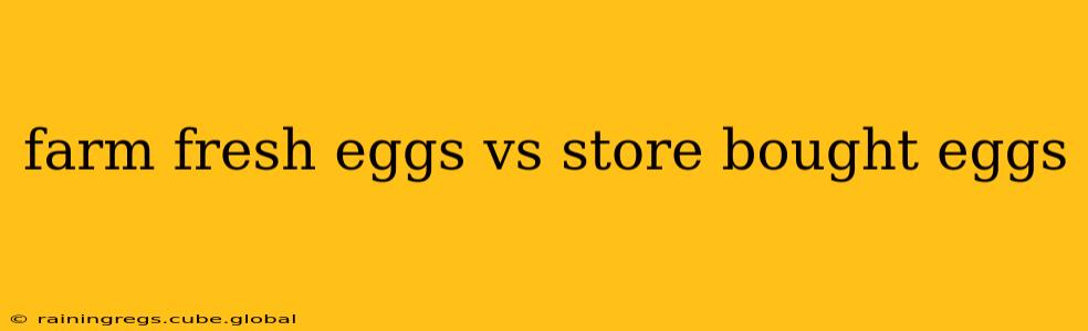 farm fresh eggs vs store bought eggs