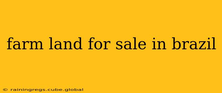 farm land for sale in brazil