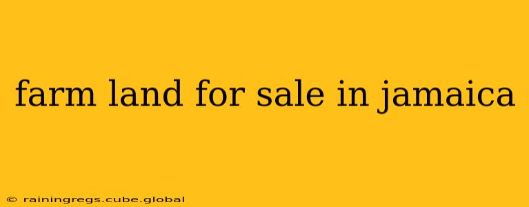 farm land for sale in jamaica