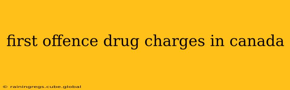 first offence drug charges in canada