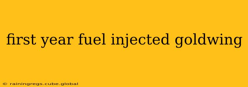 first year fuel injected goldwing