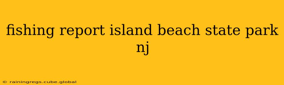 fishing report island beach state park nj