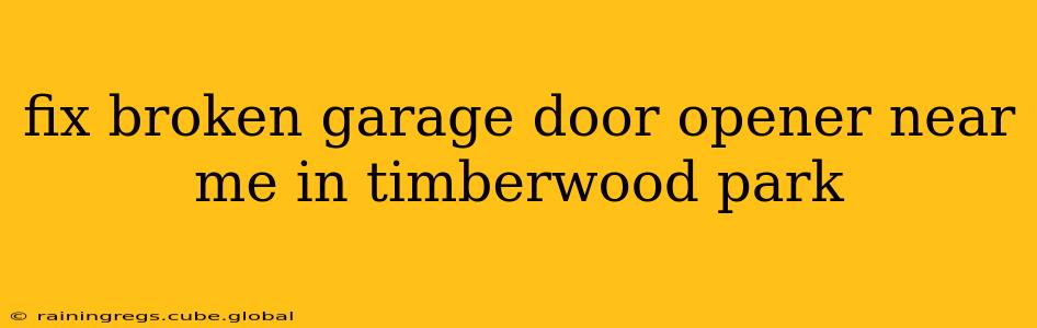 fix broken garage door opener near me in timberwood park