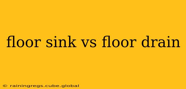 floor sink vs floor drain