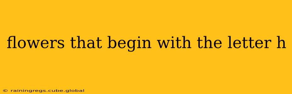 flowers that begin with the letter h