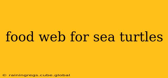 food web for sea turtles