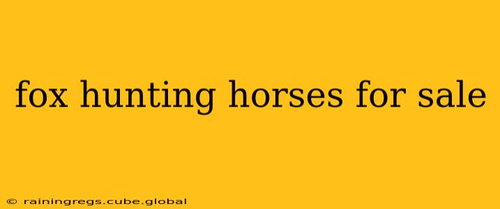 fox hunting horses for sale