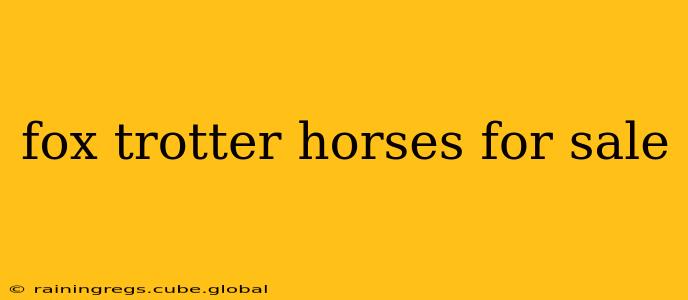 fox trotter horses for sale
