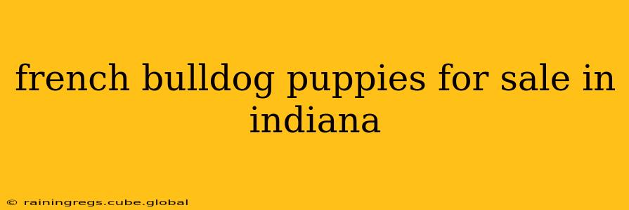 french bulldog puppies for sale in indiana