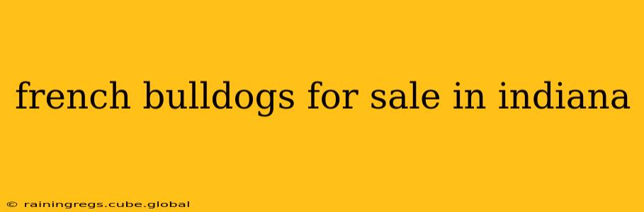 french bulldogs for sale in indiana