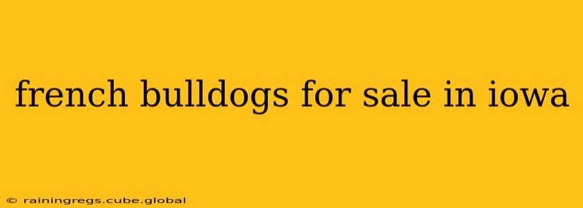 french bulldogs for sale in iowa