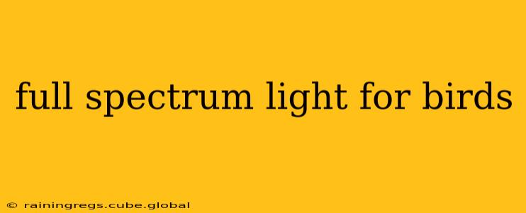 full spectrum light for birds