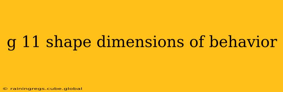 g 11 shape dimensions of behavior