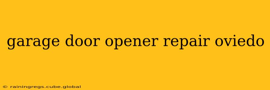 garage door opener repair oviedo
