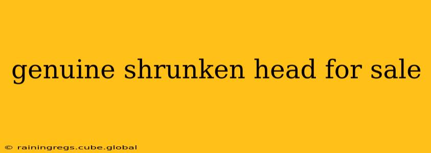genuine shrunken head for sale