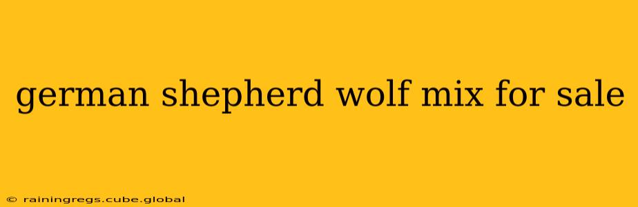 german shepherd wolf mix for sale