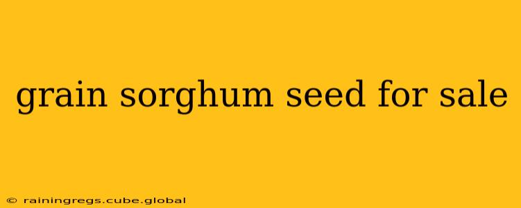 grain sorghum seed for sale