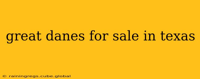 great danes for sale in texas