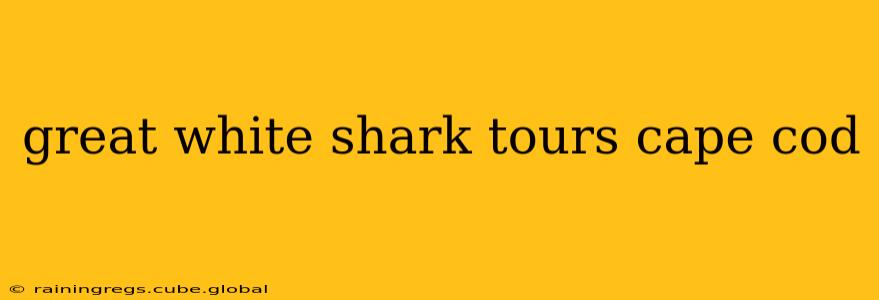 great white shark tours cape cod