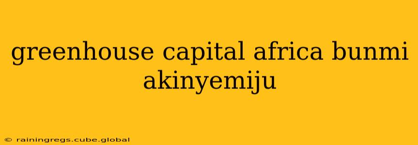 greenhouse capital africa bunmi akinyemiju