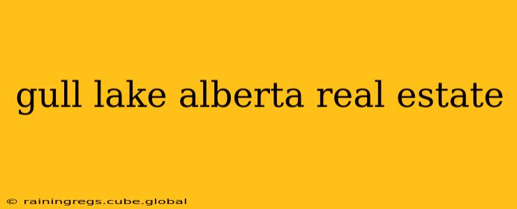 gull lake alberta real estate