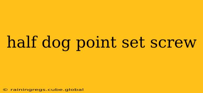 half dog point set screw