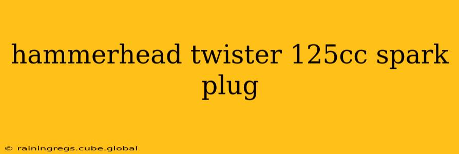 hammerhead twister 125cc spark plug