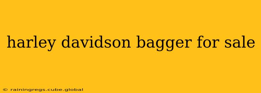 harley davidson bagger for sale