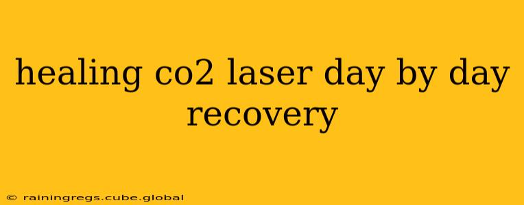 healing co2 laser day by day recovery