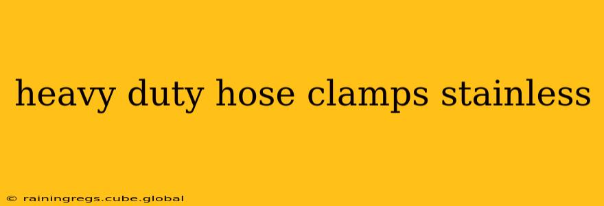 heavy duty hose clamps stainless