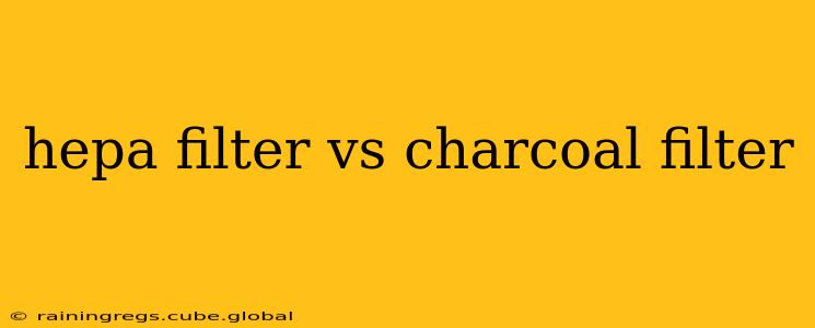 hepa filter vs charcoal filter
