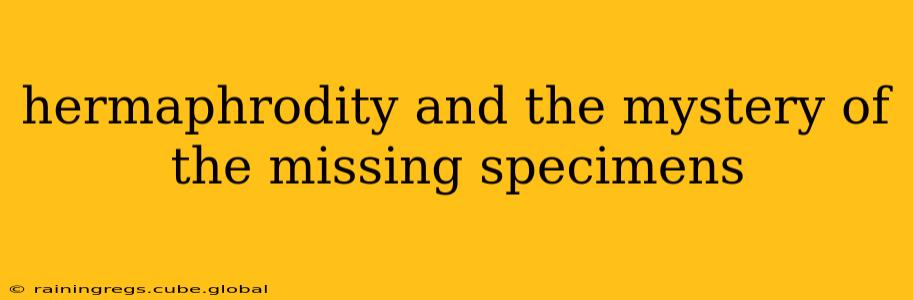 hermaphrodity and the mystery of the missing specimens