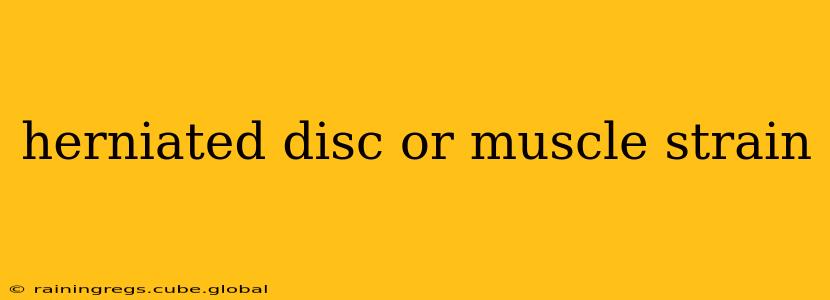herniated disc or muscle strain