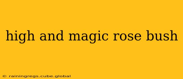 high and magic rose bush