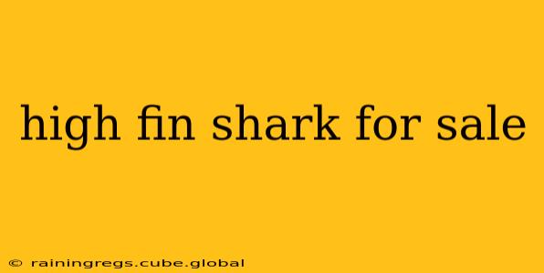 high fin shark for sale