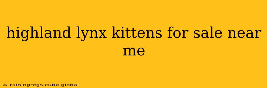 highland lynx kittens for sale near me