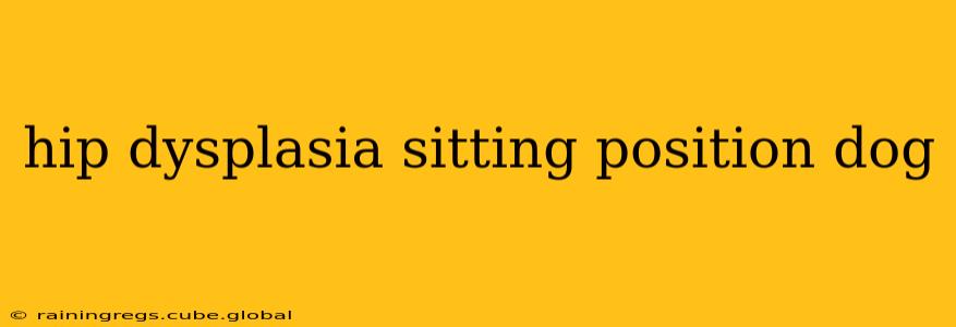 hip dysplasia sitting position dog