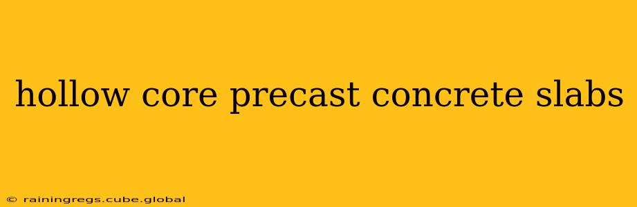 hollow core precast concrete slabs