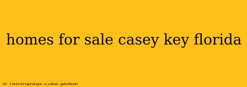 homes for sale casey key florida