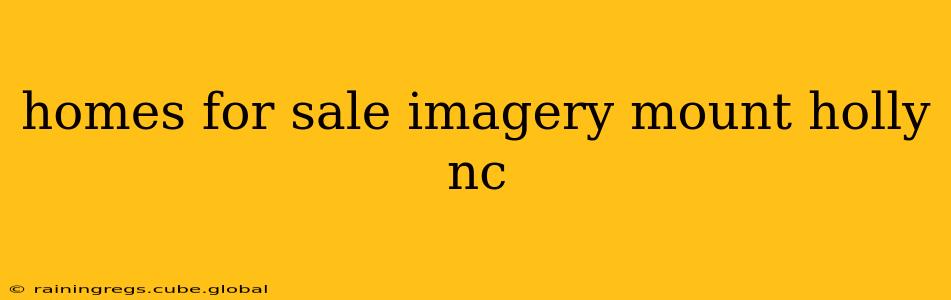 homes for sale imagery mount holly nc