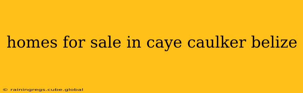 homes for sale in caye caulker belize