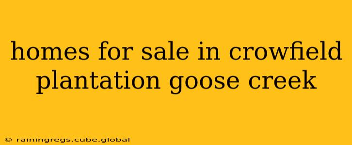 homes for sale in crowfield plantation goose creek