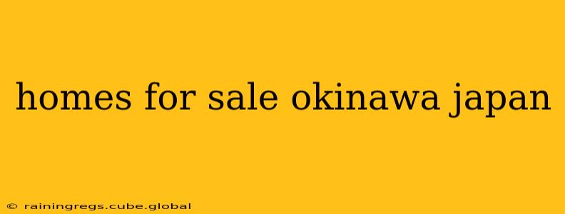 homes for sale okinawa japan