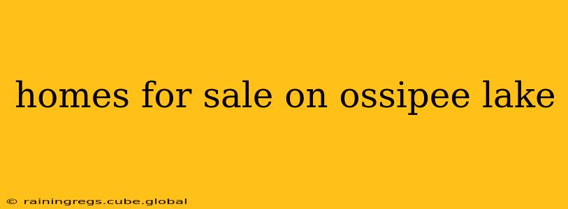 homes for sale on ossipee lake